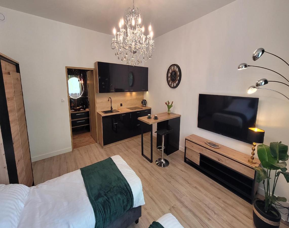 Good Day Apartment Centrum カトヴィツェ エクステリア 写真