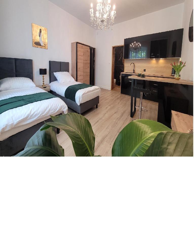 Good Day Apartment Centrum カトヴィツェ エクステリア 写真