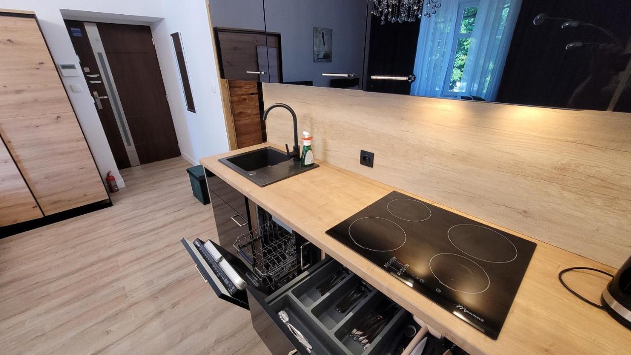 Good Day Apartment Centrum カトヴィツェ エクステリア 写真